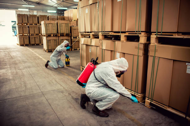 Best Emergency Pest Control  in Reno, TX