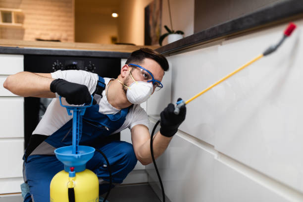 Best Mosquito Control Services  in Reno, TX