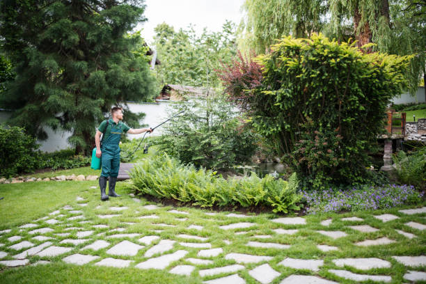 Best Affordable Pest Control Services  in Reno, TX