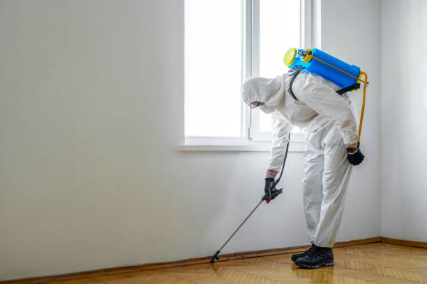 Professional Pest Control in Reno, TX