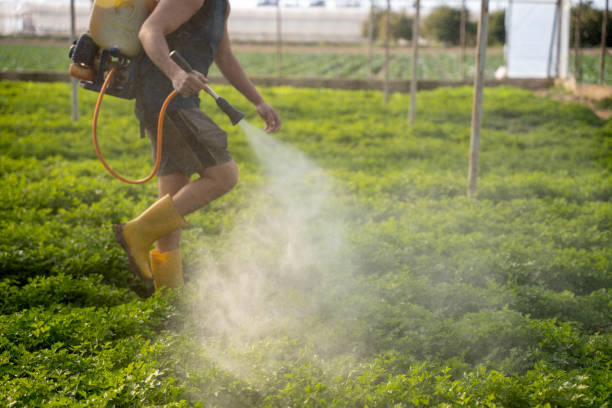 Best Commercial Pest Control Services  in Reno, TX