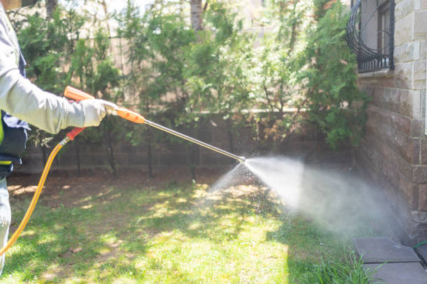 Best Emergency Pest Control  in Reno, TX