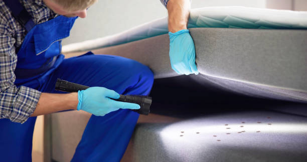Best Commercial Pest Control Services  in Reno, TX
