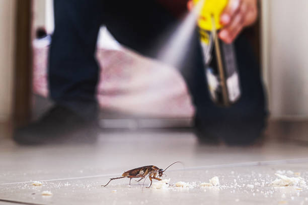 Professional Pest Control in Reno, TX