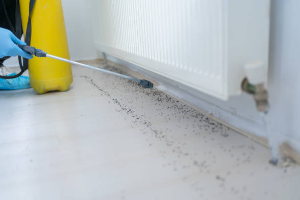 Best Bed Bug Extermination  in Reno, TX