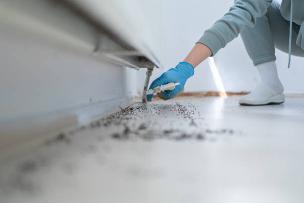 Best Pest Prevention Services  in Reno, TX
